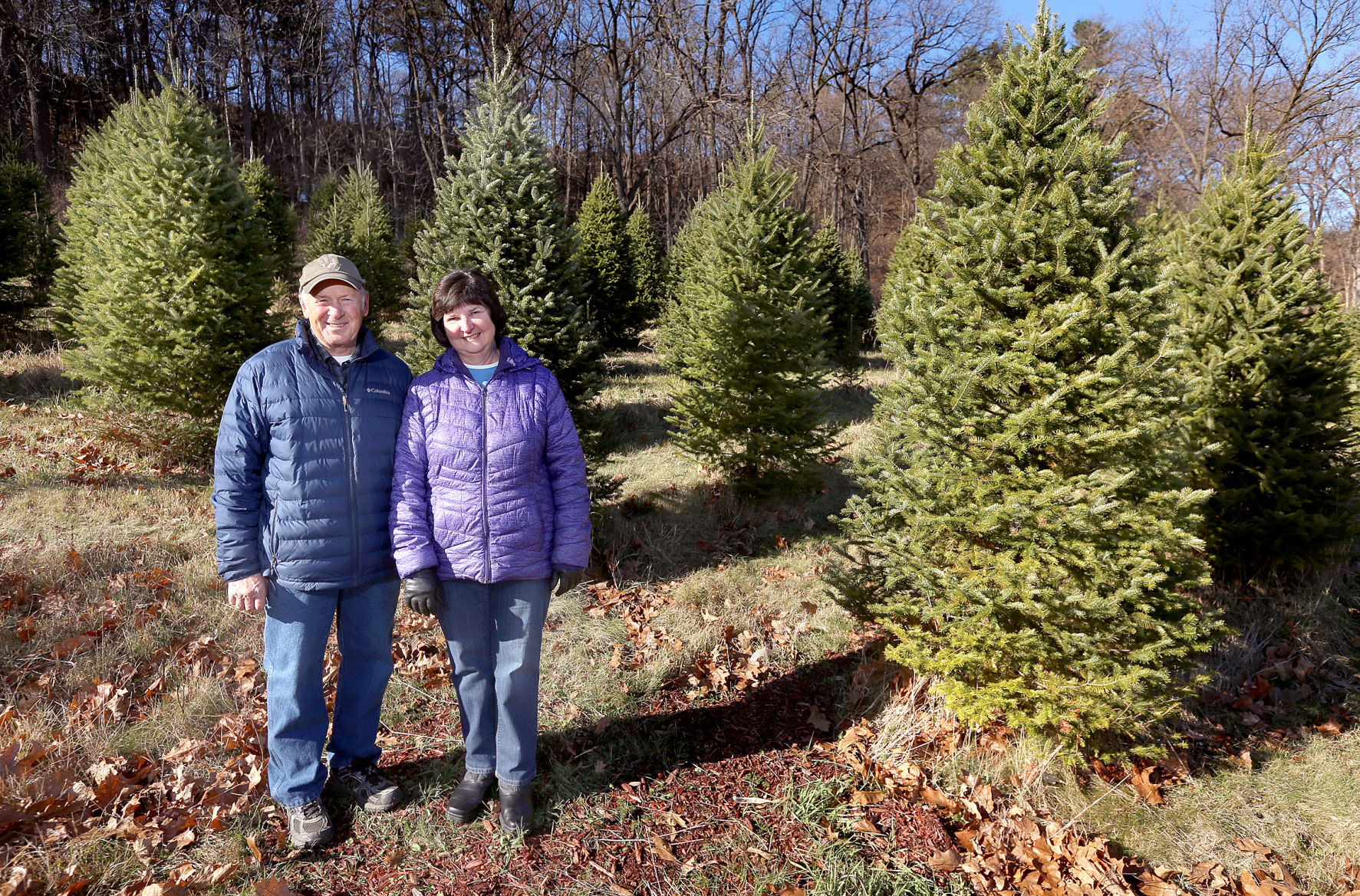 Pine Hobby Farm
